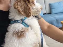 -美迦爱-牙专科·兔科·骨科诊疗中心(北苑店)