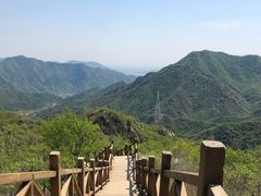 -大岭沟猕猴桃谷风景区