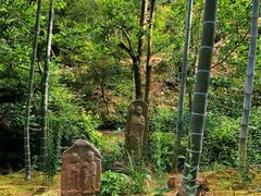 -常寂光寺