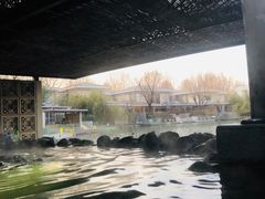 -春晖园度假酒店温泉