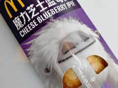 -麦当劳(磨子桥店)