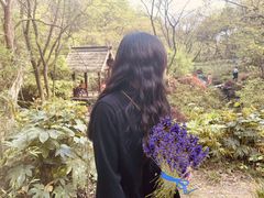 -杭州半山国家森林公园