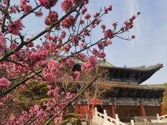 -艾山风景名胜区