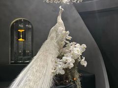 -滇野云南野生菌餐厅