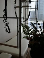 -慢脚印孕产中心(园区国金店)