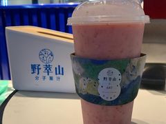 -野萃山·潮汕厚果汁(十亩地店)
