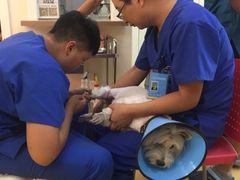 -芭比堂动物医院·犬猫全科·异宠专科(雁塔分院)