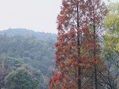 -北高峰