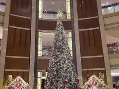 -深圳星河丽思卡尔顿酒店