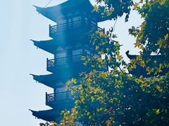 -秋霞圃