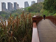 -重庆彩云湖湿地公园