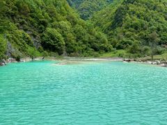 -狮子沟牧场