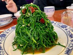 炝拌沙葱-国强手抓(北京西路店)
