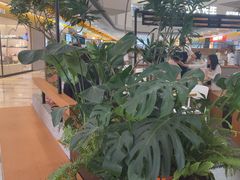 -野人先生Gelato(上海长宁龙之梦店)