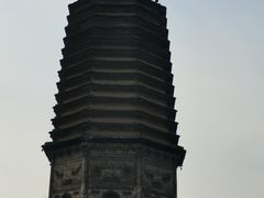 -掌上鲜(南顺城街店)
