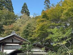-三千院