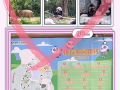 -广州长隆野生动物世界