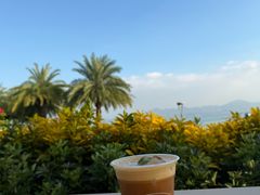 -SAANCI山池咖啡(海上世界文化艺术中心店)