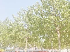 -泰达航母主题公园