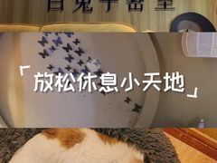 -白兔子密室(长寿路店)