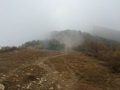 -北京鹫峰国家森林公园