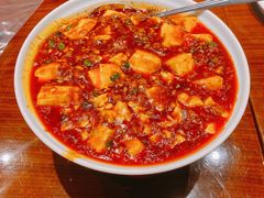 麻婆豆腐-眉州东坡(民族园店)