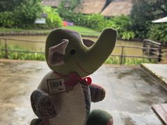-大象粑粑造纸公园