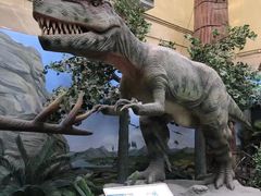 -国家自然博物馆