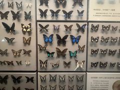 -天津自然博物馆