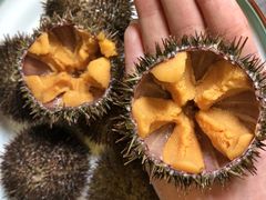 -海胆小馆(东北水饺·春柳店)