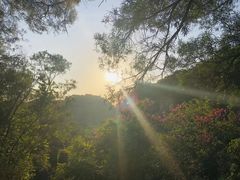 -金鸡山公园