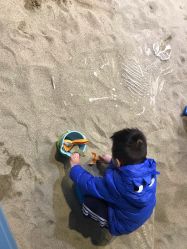 -恐龙探索乐园(磁器口店)