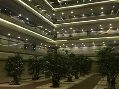 -南京禄口机场雅高铂尔曼大酒店