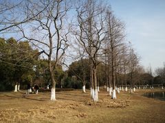 -长广溪湿地公园