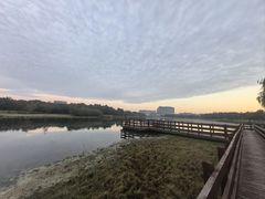 -南汇新城城市公园