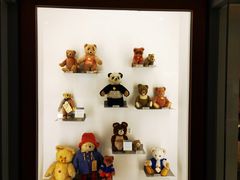 -济州岛泰迪熊博物馆