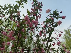 -元大都城垣遗址公园