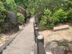 -玉苍山国家森林公园