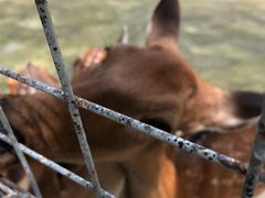 -祥源·阜阳生态乐园