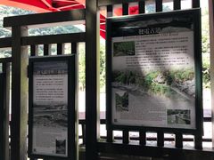 -太鲁阁公园