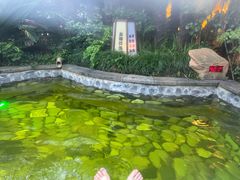 -杭州第一世界大酒店·云曼温泉