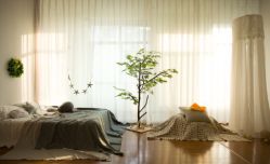 点击看大图 -星宝贝儿童摄影