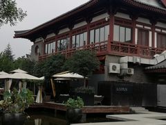 -莲西餐(曲江店)