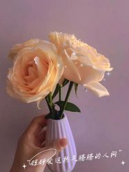 -Lily纤美·科技减脂中心