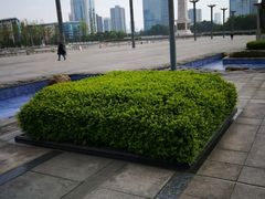 -两江幸福广场