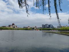 -莲花池公园
