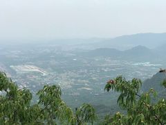 -阳台山自然风景区