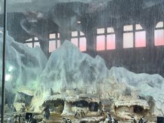 -帝企鹅自助餐厅•儿童岛•真企鹅(长隆企鹅酒店)