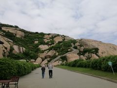 -洋山深水港