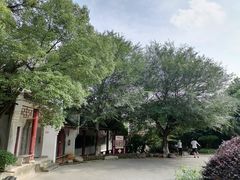 -绳金塔